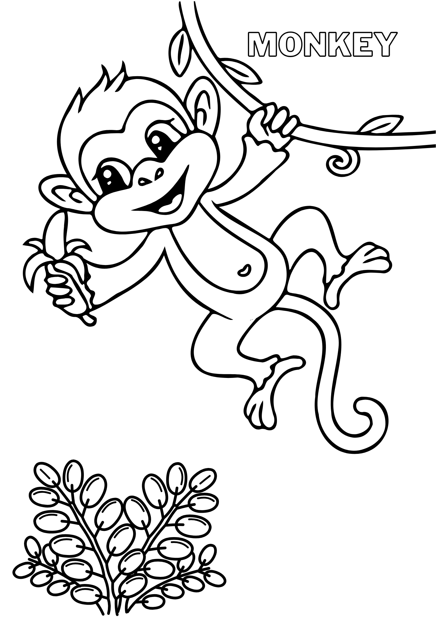 ZOO COLORING BOOK FOR KIDS - 12 animals